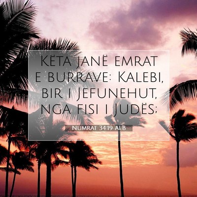 Picture 07 - Numrat 34:19 ALB - Këta janë emrat e burrave: Kalebi, bir i - Bible Verse Picture