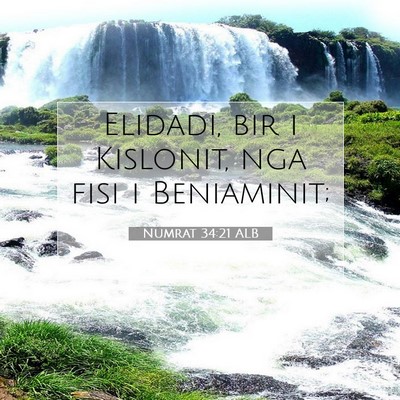 Picture 07 - Numrat 34:21 ALB - Elidadi, bir i Kislonit, nga fisi i - Bible Verse Picture