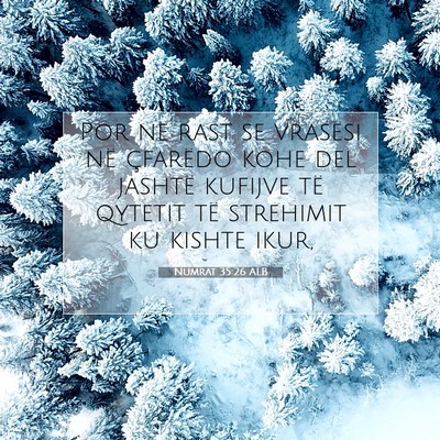 Picture 07 - Numrat 35:26 ALB - Por në rast se vrasësi në çfarëdo kohe del - Bible Verse Picture