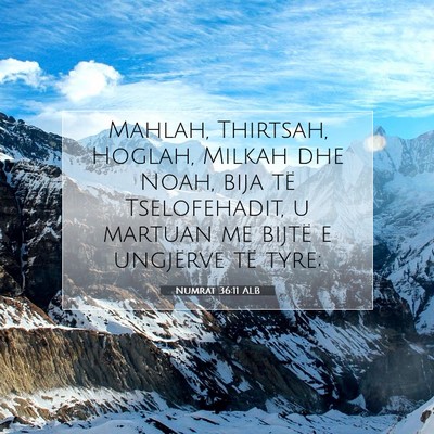 Picture 07 - Numrat 36:11 ALB - Mahlah, Thirtsah, Hoglah, Milkah dhe Noah, bija - Bible Verse Picture