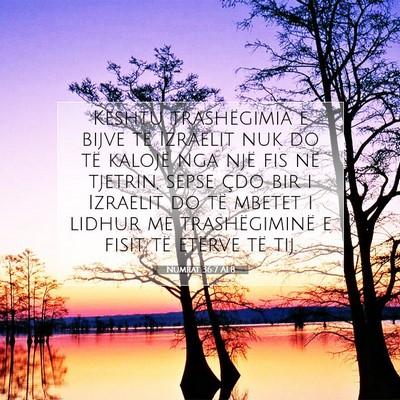 Picture 07 - Numrat 36:7 ALB - Kështu trashëgimia e bijve të Izraelit nuk do - Bible Verse Picture