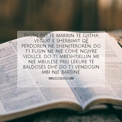 Picture 07 - Numrat 4:12 ALB - Pastaj do të marrin të gjitha veglat e - Bible Verse Picture