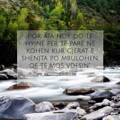 Picture 07 - Numrat 4:20 ALB - Por ata nuk do të hyjnë për të parë në - Bible Verse Picture