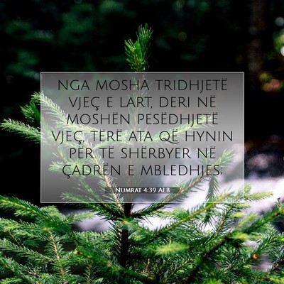 Picture 07 - Numrat 4:39 ALB - nga mosha tridhjetë vjeç e lart, deri në - Bible Verse Picture