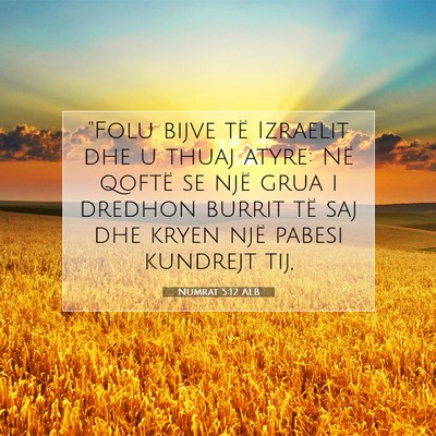 Picture 07 - Numrat 5:12 ALB - 