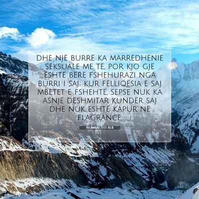 Picture 07 - Numrat 5:13 ALB - dhe një burrë ka marrëdhënie seksuale me të, - Bible Verse Picture