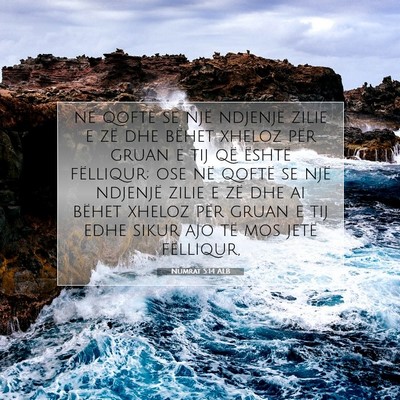 Picture 07 - Numrat 5:14 ALB - në qoftë se një ndjenjë zilie e zë dhe - Bible Verse Picture