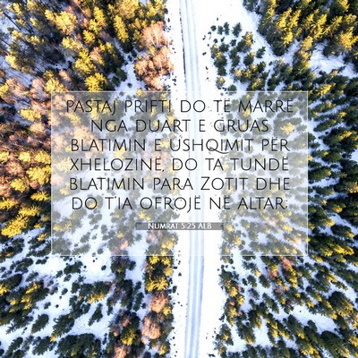 Picture 07 - Numrat 5:25 ALB - pastaj prifti do të marrë nga duart e gruas - Bible Verse Picture