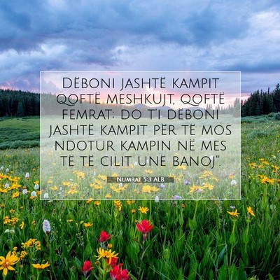 Picture 07 - Numrat 5:3 ALB - Dëboni jashtë kampit qoftë meshkujt, qoftë - Bible Verse Picture