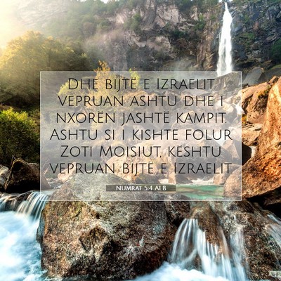 Picture 07 - Numrat 5:4 ALB - Dhe bijtë e Izraelit vepruan ashtu dhe i nxorën - Bible Verse Picture