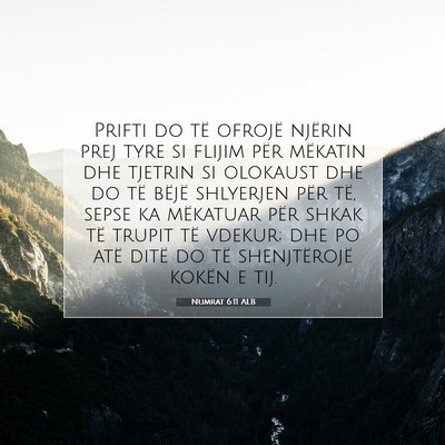 Picture 07 - Numrat 6:11 ALB - Prifti do të ofrojë njërin prej tyre si flijim - Bible Verse Picture