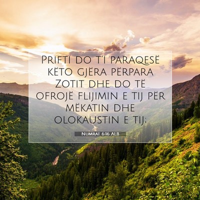 Picture 07 - Numrat 6:16 ALB - Prifti do t’i paraqesë këto gjëra përpara - Bible Verse Picture