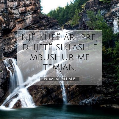 Picture 07 - Numrat 7:14 ALB - një kupë ari prej dhjetë siklash e mbushur me - Bible Verse Picture