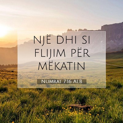 Picture 07 - Numrat 7:16 ALB - një dhi si flijim për - Bible Verse Picture