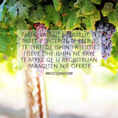 Picture 07 - Numrat 7:2 ALB - Pastaj prijësit e Izraelit, të parët e - Bible Verse Picture
