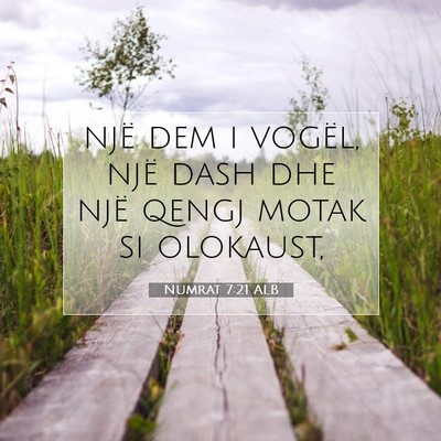 Picture 07 - Numrat 7:21 ALB - një dem i vogël, një dash dhe një qengj motak - Bible Verse Picture