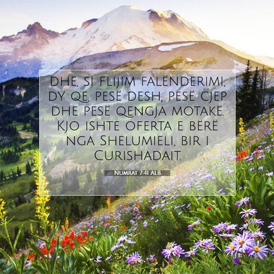 Picture 07 - Numrat 7:41 ALB - dhe, si flijim falënderimi, dy qe, pesë desh, - Bible Verse Picture