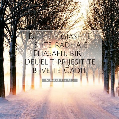 Picture 07 - Numrat 7:42 ALB - Ditën e gjashtë ishte radha e Eliasafit, bir i - Bible Verse Picture