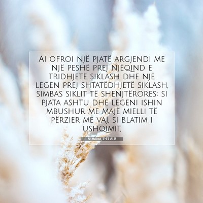 Picture 07 - Numrat 7:43 ALB - Ai ofroi një pjatë argjendi me një peshë prej - Bible Verse Picture
