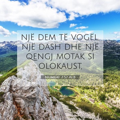 Picture 07 - Numrat 7:57 ALB - një dem të vogël, një dash dhe një qengj - Bible Verse Picture