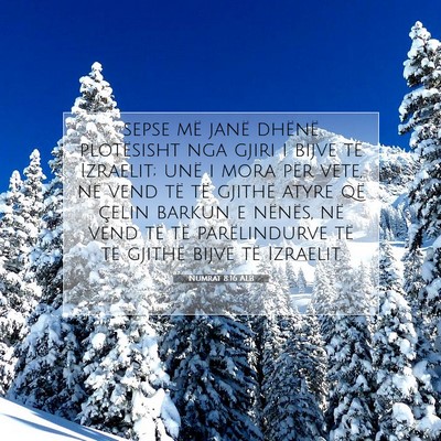 Picture 07 - Numrat 8:16 ALB - sepse më janë dhënë plotësisht nga gjiri i - Bible Verse Picture