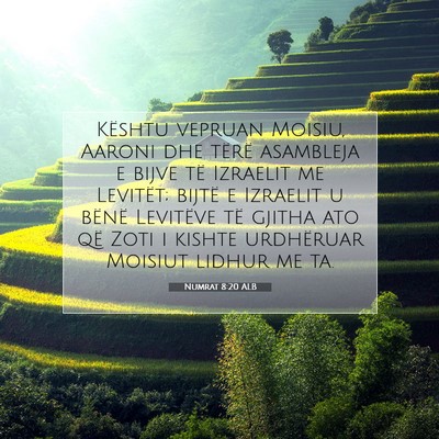Picture 07 - Numrat 8:20 ALB - Kështu vepruan Moisiu, Aaroni dhe tërë - Bible Verse Picture