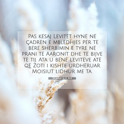 Picture 07 - Numrat 8:22 ALB - Pas kësaj Levitët hynë në çadrën e - Bible Verse Picture
