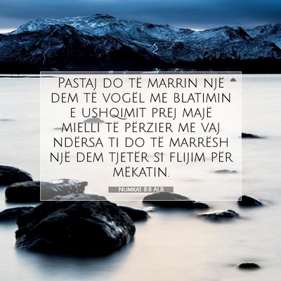 Picture 07 - Numrat 8:8 ALB - Pastaj do të marrin një dem të vogël me - Bible Verse Picture