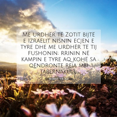 Picture 07 - Numrat 9:18 ALB - Me urdhër të Zotit bijtë e Izraelit nisnin - Bible Verse Picture