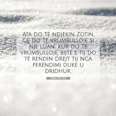 Picture 07 - Osea 11:10 ALB - Ata do të ndjekin Zotin, që do të vrumbullojë - Bible Verse Picture