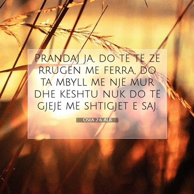 Picture 07 - Osea 2:6 ALB - Prandaj ja, do të të zë rrugën me ferra, do - Bible Verse Picture