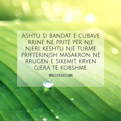 Picture 07 - Osea 6:9 ALB - Ashtu si bandat e cubave rrinë në pritë për - Bible Verse Picture