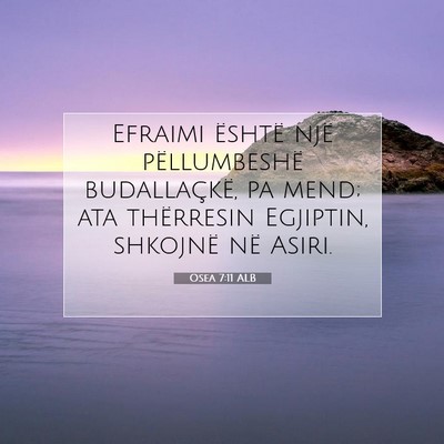 Picture 07 - Osea 7:11 ALB - Efraimi është një pëllumbeshë budallaçkë, - Bible Verse Picture