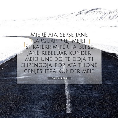 Picture 07 - Osea 7:13 ALB - Mjerë ata, sepse janë larguar prej meje! - Bible Verse Picture