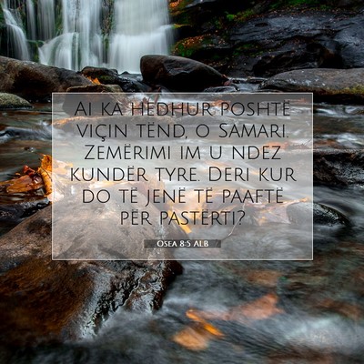 Picture 07 - Osea 8:5 ALB - Ai ka hedhur poshtë viçin tënd, o Samari. - Bible Verse Picture