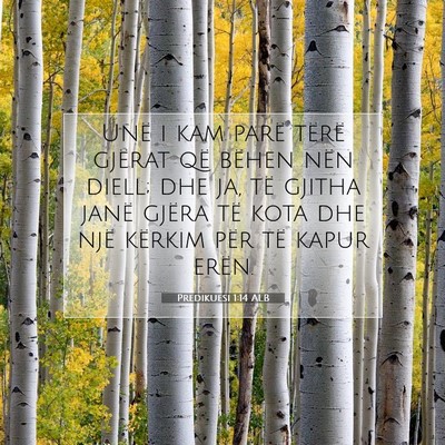 Picture 07 - Predikuesi 1:14 ALB - Unë i kam parë tërë gjërat që bëhen nën - Bible Verse Picture