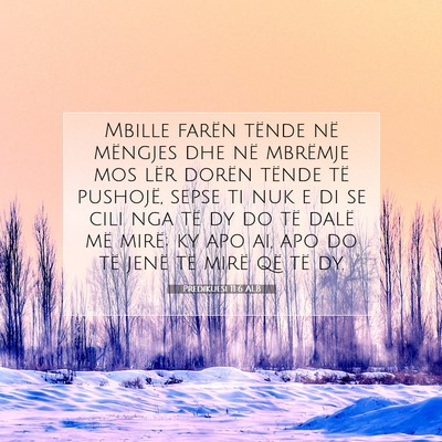 Picture 07 - Predikuesi 11:6 ALB - Mbille farën tënde në mëngjes dhe në - Bible Verse Picture