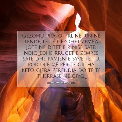 Picture 07 - Predikuesi 11:9 ALB - Gëzohu, pra, o i ri, në rininë tënde, le të - Bible Verse Picture
