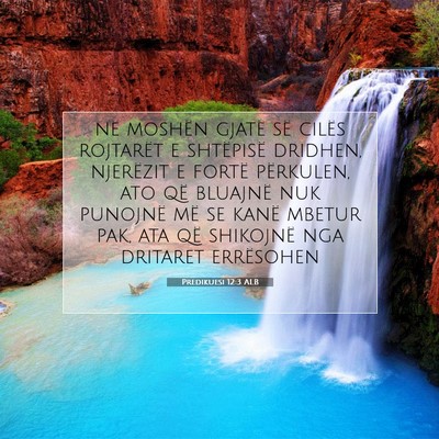 Picture 07 - Predikuesi 12:3 ALB - në moshën gjatë së cilës rojtarët e - Bible Verse Picture