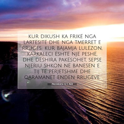 Picture 07 - Predikuesi 12:5 ALB - kur dikush ka frikë nga lartësitë dhe nga - Bible Verse Picture