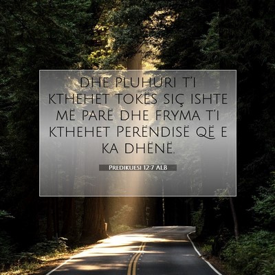 Picture 07 - Predikuesi 12:7 ALB - dhe pluhuri t’i kthehet tokës siç ishte më - Bible Verse Picture