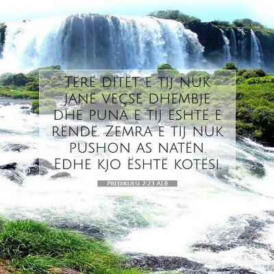 Picture 07 - Predikuesi 2:23 ALB - Tërë ditët e tij nuk janë veçse dhembje dhe - Bible Verse Picture
