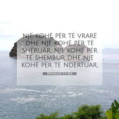 Picture 07 - Predikuesi 3:3 ALB - një kohë për të vrarë dhe një kohë për - Bible Verse Picture