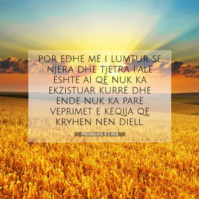 Picture 07 - Predikuesi 4:3 ALB - por edhe më i lumtur se njera dhe tjetra palë - Bible Verse Picture