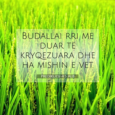 Picture 07 - Predikuesi 4:5 ALB - Budallai rri me duar të kryqezuara dhe ha mishin - Bible Verse Picture