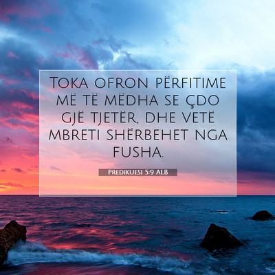 Picture 07 - Predikuesi 5:9 ALB - Toka ofron përfitime më të mëdha se çdo gjë - Bible Verse Picture