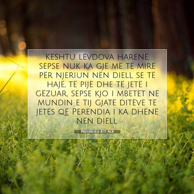 Picture 07 - Predikuesi 8:15 ALB - Kështu lëvdova harenë, sepse nuk ka gjë më - Bible Verse Picture