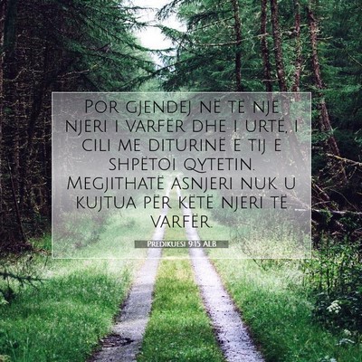 Picture 07 - Predikuesi 9:15 ALB - Por gjendej në të një njeri i varfër dhe i - Bible Verse Picture