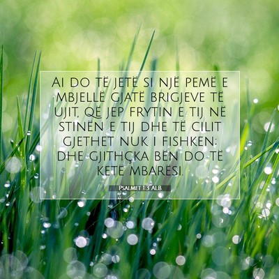 Picture 07 - Psalmet 1:3 ALB - Ai do të jetë si një pemë e mbjellë gjatë - Bible Verse Picture