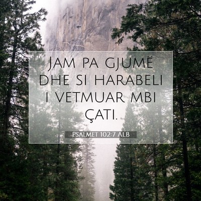 Picture 07 - Psalmet 102:7 ALB - Jam pa gjumë dhe si harabeli i vetmuar mbi - Bible Verse Picture